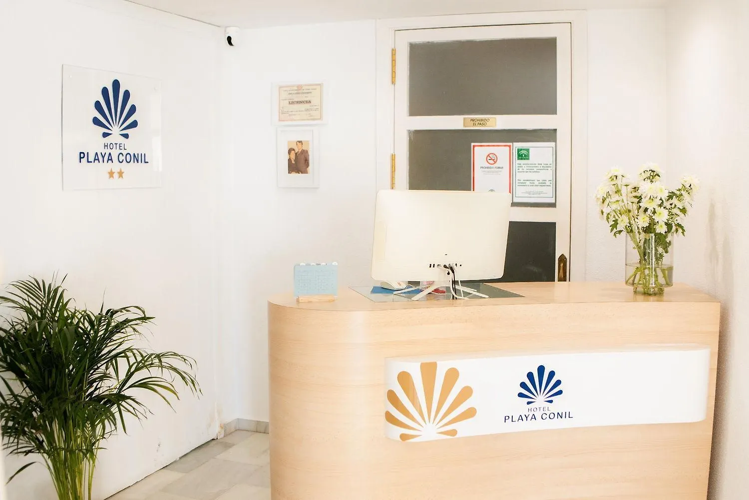 Hotel Playa Conil - Beachfront Studios & Suites Conil De La Frontera
